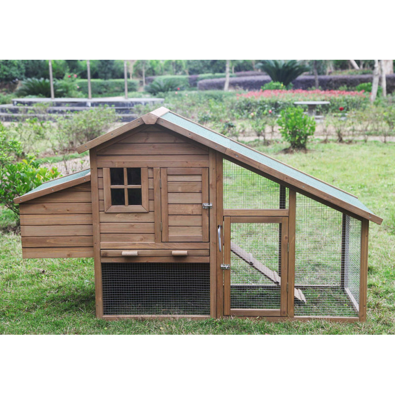 Tucker Murphy™ Pet Haught MultiLevel Wooden Chicken Coop & Reviews